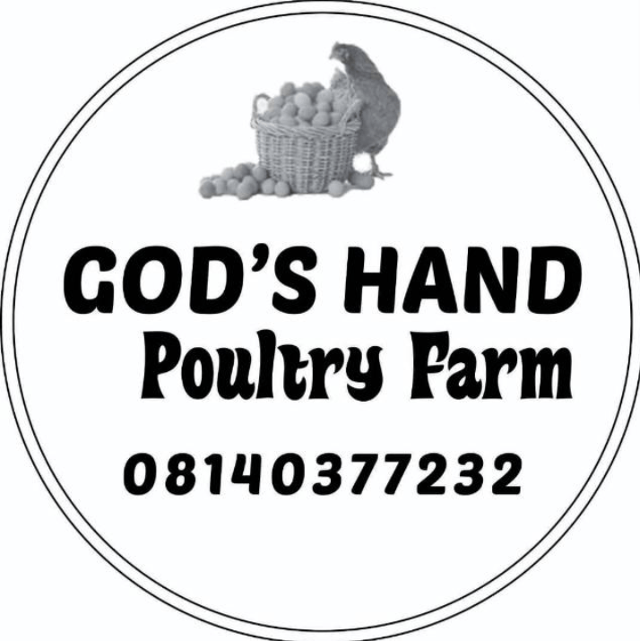 GOD’S HAND Poultry&nbsp;Farm